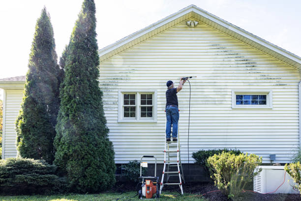 Best Soft Washing for Delicate Surfaces in Baltimore, OH
